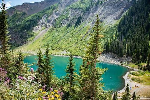 Turquoise mountain lake with wildflowers