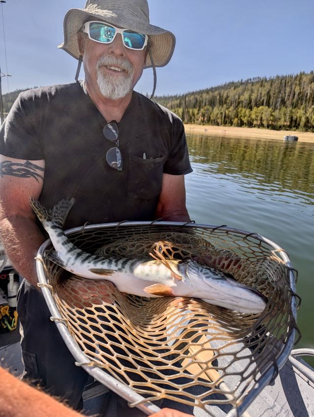 Smiling angler in a bucket hat holding a landing net with a striped tiger trout, calm lake and forested hills behind
